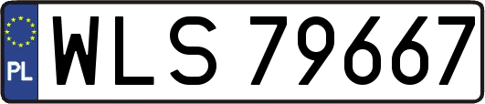 WLS79667