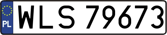 WLS79673