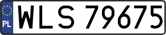 WLS79675