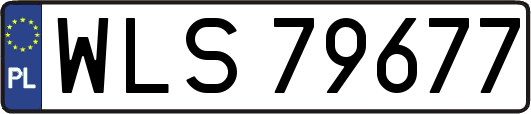 WLS79677