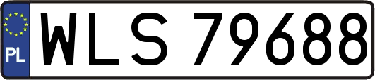 WLS79688