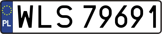 WLS79691