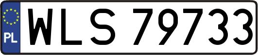 WLS79733
