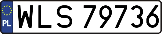 WLS79736