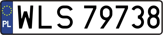 WLS79738