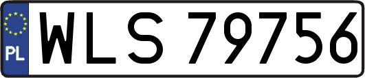WLS79756