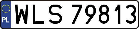 WLS79813