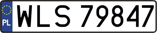 WLS79847