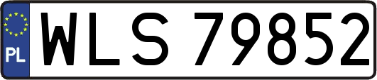 WLS79852