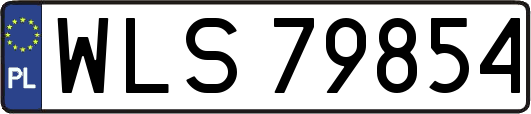 WLS79854
