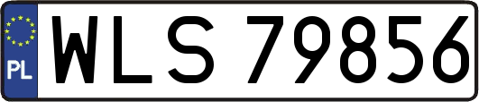 WLS79856