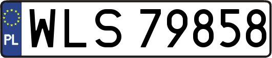 WLS79858