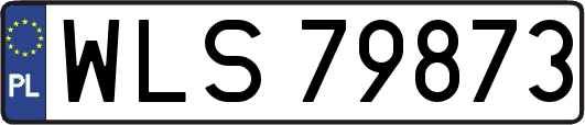 WLS79873