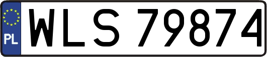WLS79874