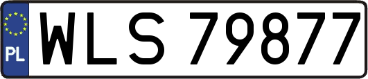 WLS79877