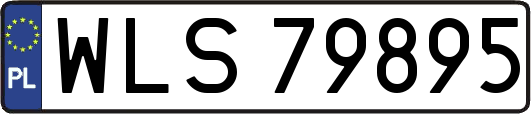 WLS79895