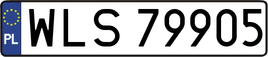 WLS79905