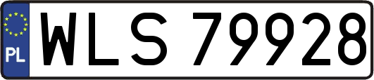 WLS79928