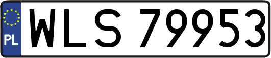WLS79953