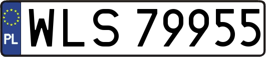 WLS79955