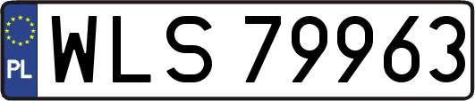 WLS79963