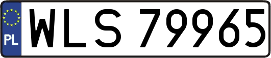 WLS79965