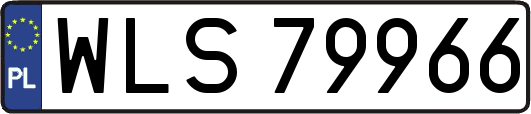 WLS79966