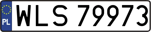 WLS79973