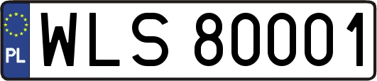 WLS80001