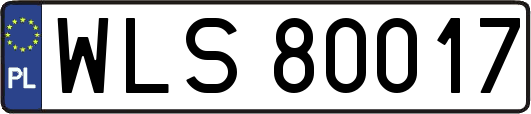 WLS80017