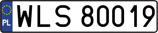 WLS80019