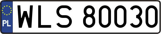 WLS80030