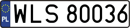 WLS80036