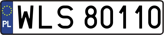 WLS80110