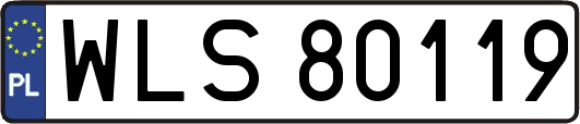 WLS80119