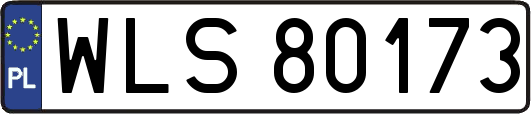 WLS80173