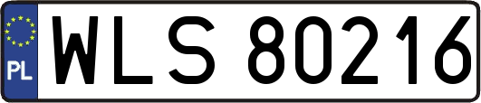 WLS80216