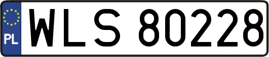 WLS80228