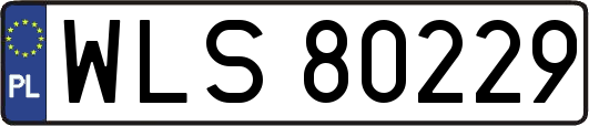 WLS80229
