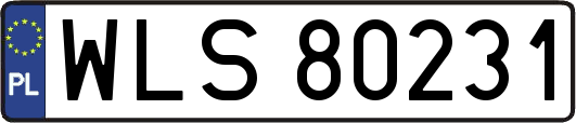 WLS80231