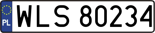 WLS80234