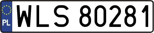 WLS80281