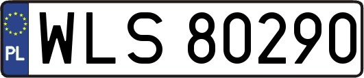WLS80290