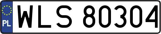 WLS80304