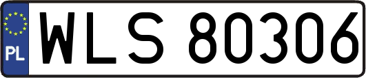 WLS80306