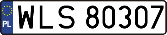 WLS80307