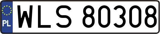WLS80308