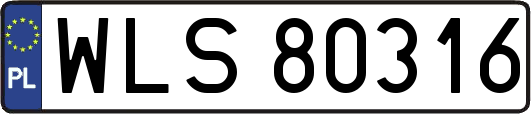WLS80316