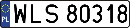 WLS80318