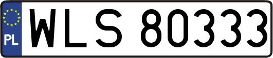 WLS80333